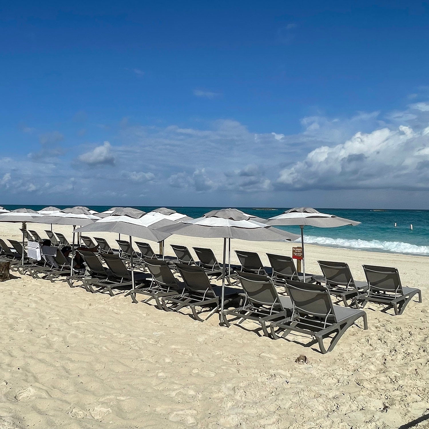 Sunset Chaise Lounges overlook the ocean on the beach