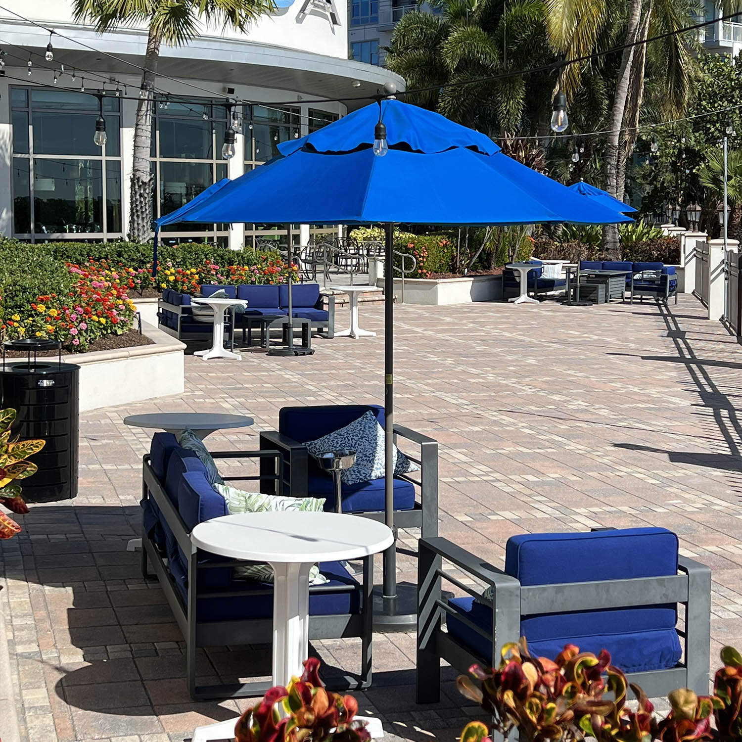 Windmaster Umbrellas compliment the color scheme at Westin Tampa Bay Resort